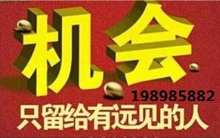 代理中的戰(zhàn)斗機 hz代理小顏，助您領航商海新高度